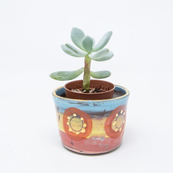 Yellow, pink and blue ceramic plant pot with orange circles and dots of gold luster holding a small succulent plant